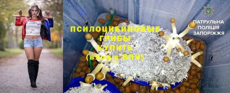 Псилоцибиновые грибы Magic Shrooms  OMG вход  Углич 